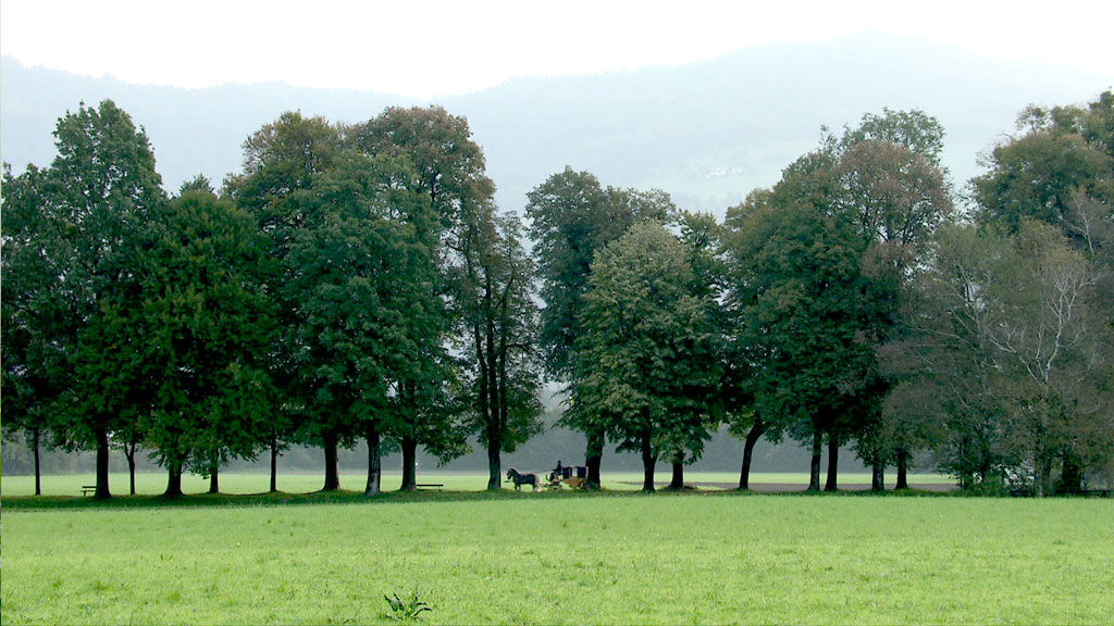 Saudade Kutschenfahrt